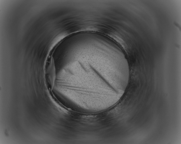 X0000095691135200801221242