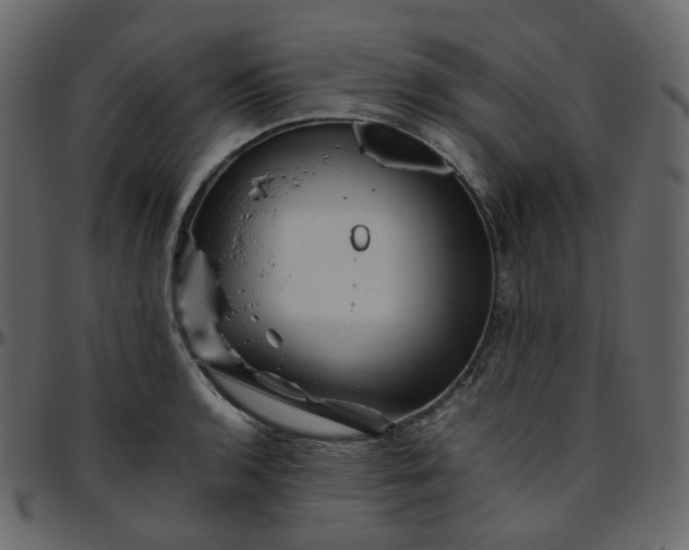 X0000095691136200801221242