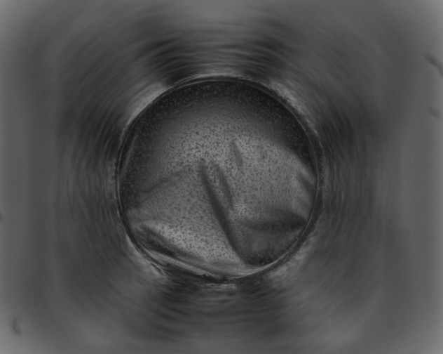 X0000095691137200801221242