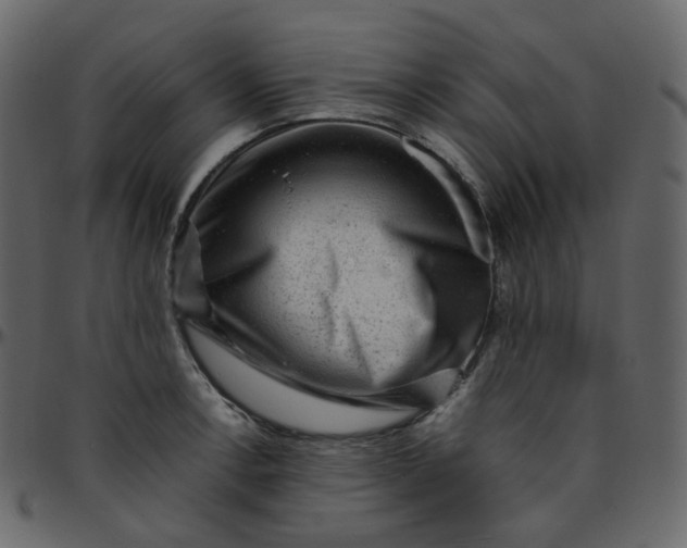 X0000095691138200801221242