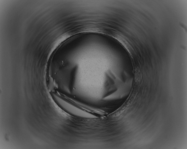 X0000095691139200801221242