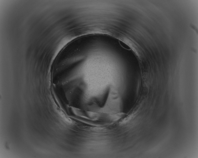 X0000095691140200801221242