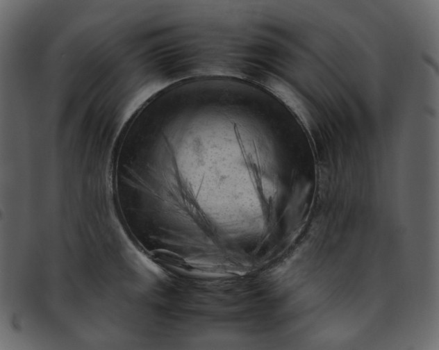 X0000095691141200801221242