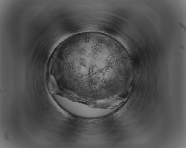 X0000095691142200801221242