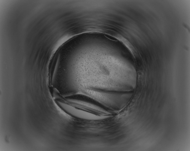 X0000095691143200801221242