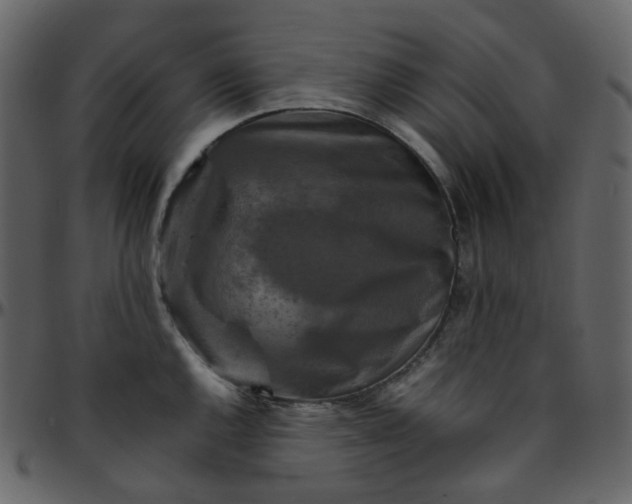 X0000095691144200801221242