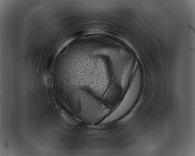 X0000095691145200801221242