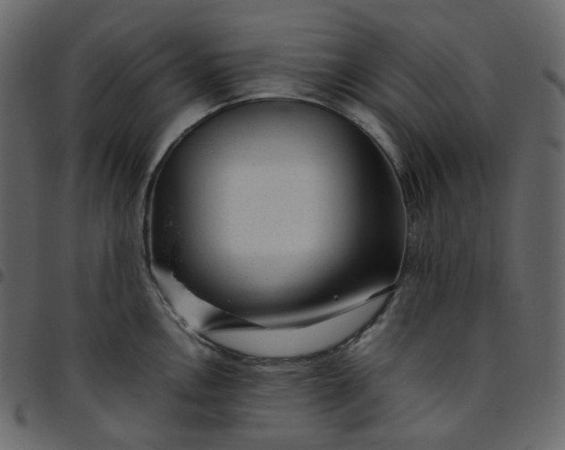 X0000095691146200801221242