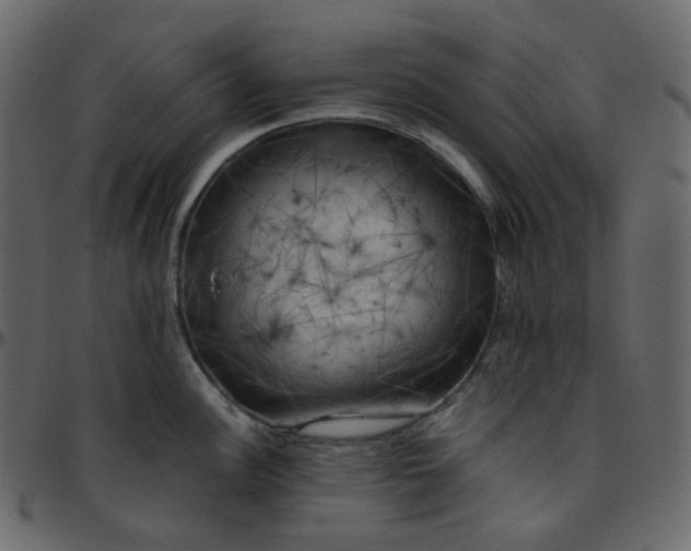 X0000095691148200801221242