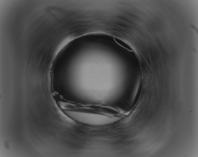 X0000095691151200801221242