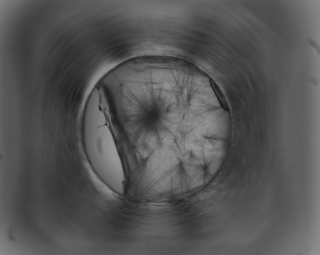 X0000095691152200801221242