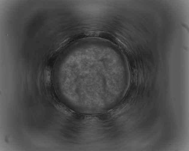 X0000095691154200801221241