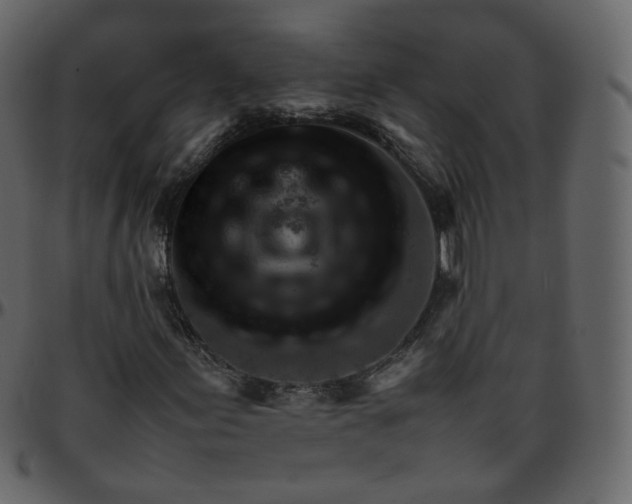 X0000095691155200801221241