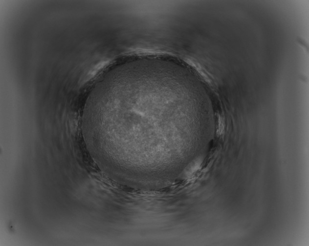 X0000095691157200801221241