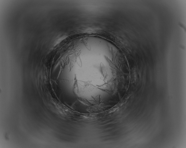 X0000095691158200801221241