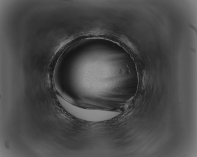 X0000095691160200801221241