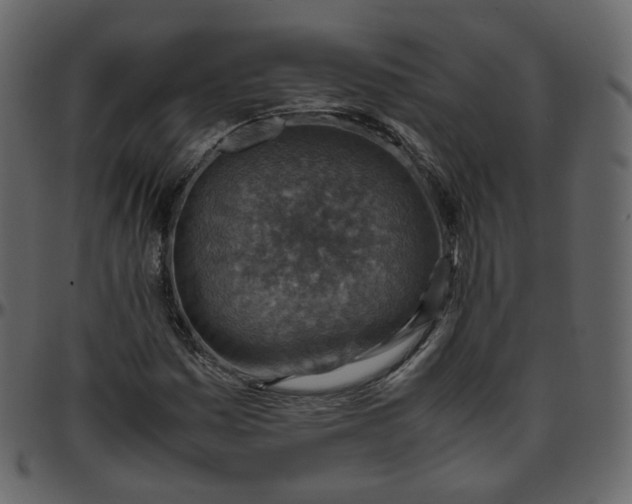 X0000095691161200801221241