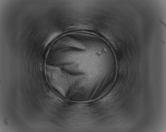 X0000095691163200801221241