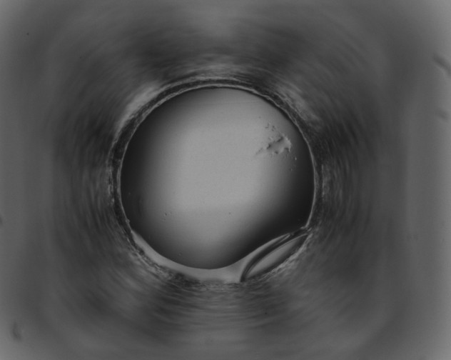 X0000095691164200801221241