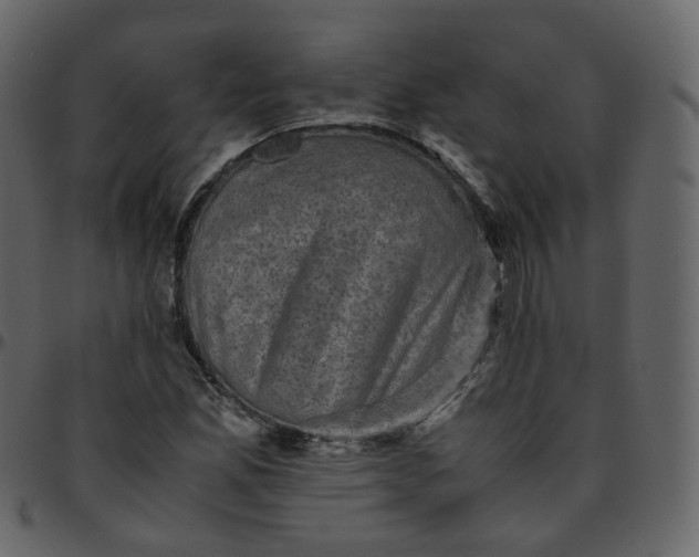 X0000095691165200801221241