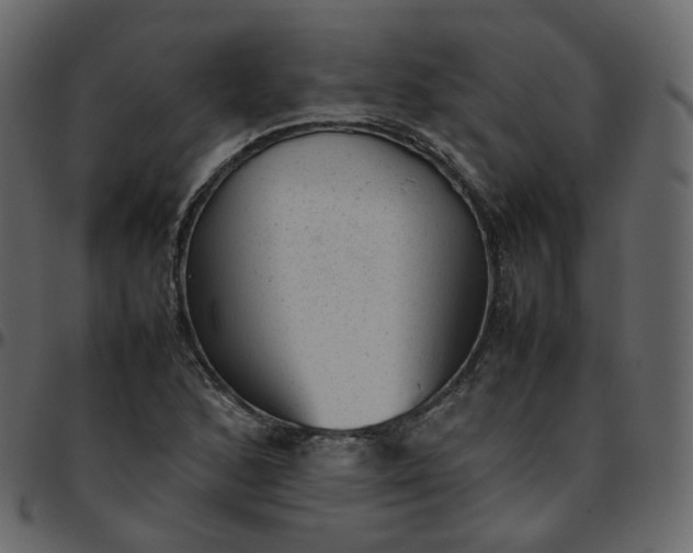 X0000095691168200801221241