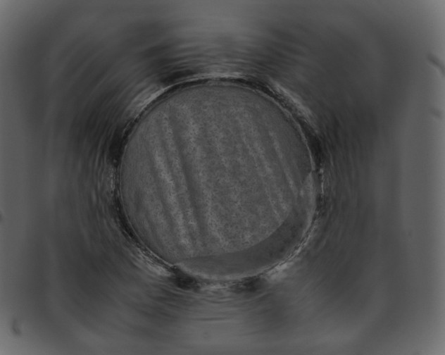 X0000095691169200801221241