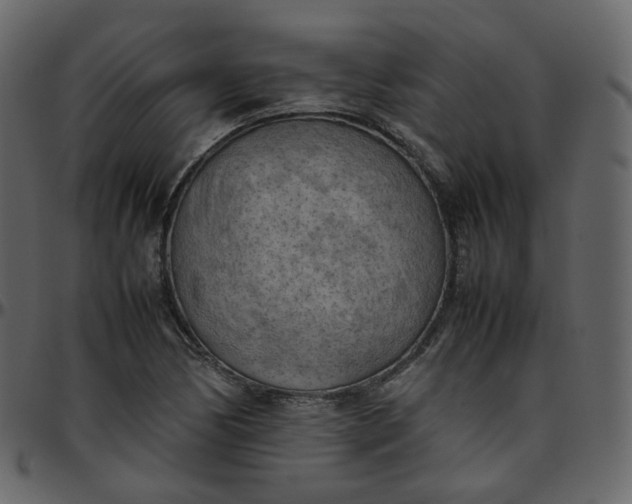 X0000095691170200801221241