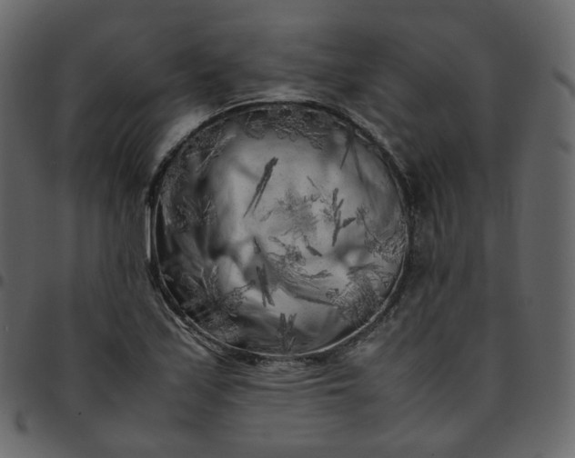 X0000095691171200801221241