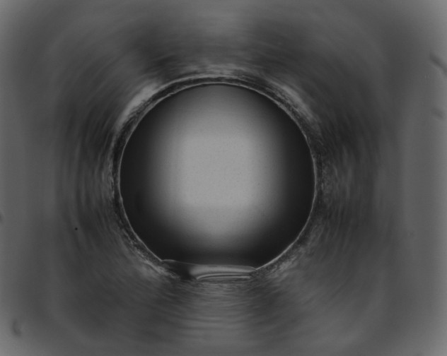 X0000095691172200801221241