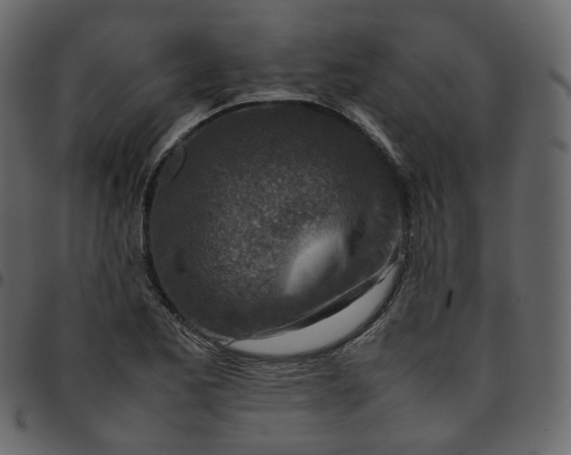 X0000095691173200801221241