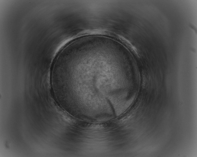 X0000095691174200801221241