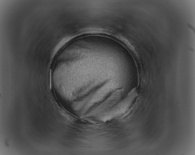 X0000095691175200801221241