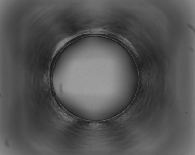 X0000095691176200801221241