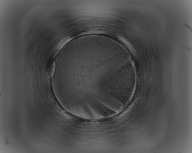 X0000095691177200801221241