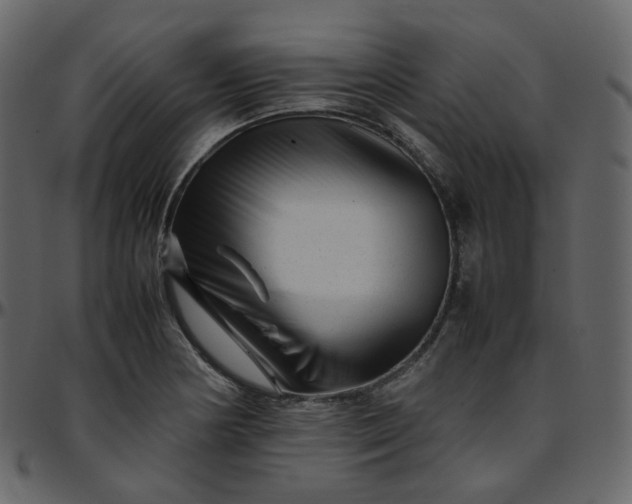 X0000095691178200801221241