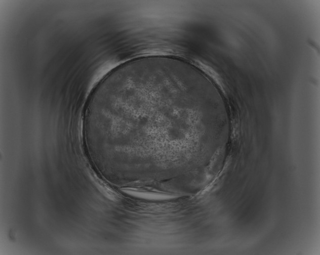 X0000095691179200801221241