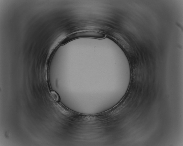 X0000095691180200801221241