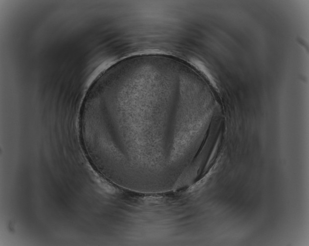 X0000095691181200801221241