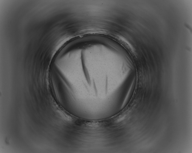 X0000095691182200801221241