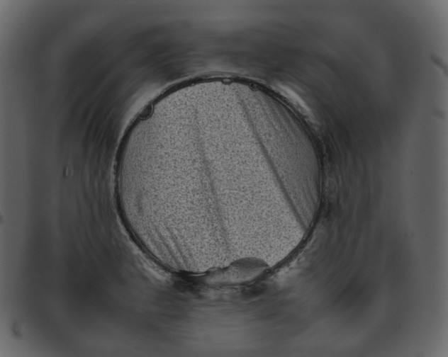 X0000095691183200801221241