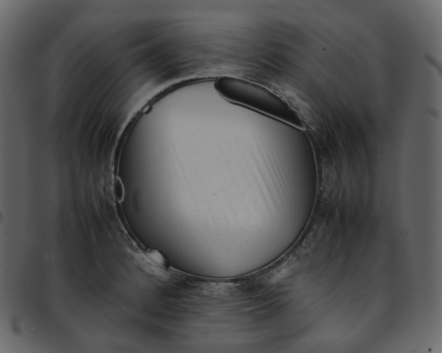 X0000095691184200801221241