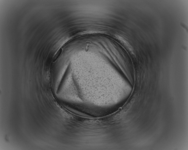 X0000095691185200801221241