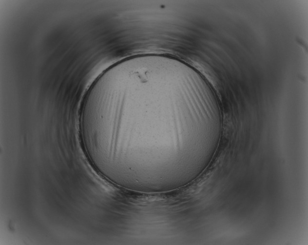 X0000095691187200801221241