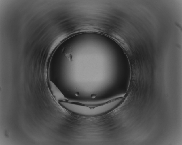 X0000095691188200801221241