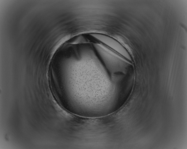 X0000095691189200801221241