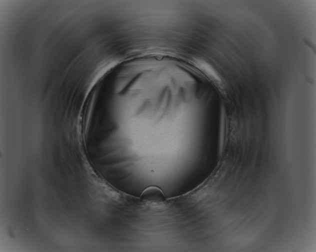 X0000095691190200801221241