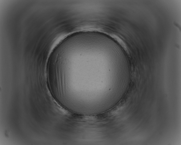 X0000095691191200801221241