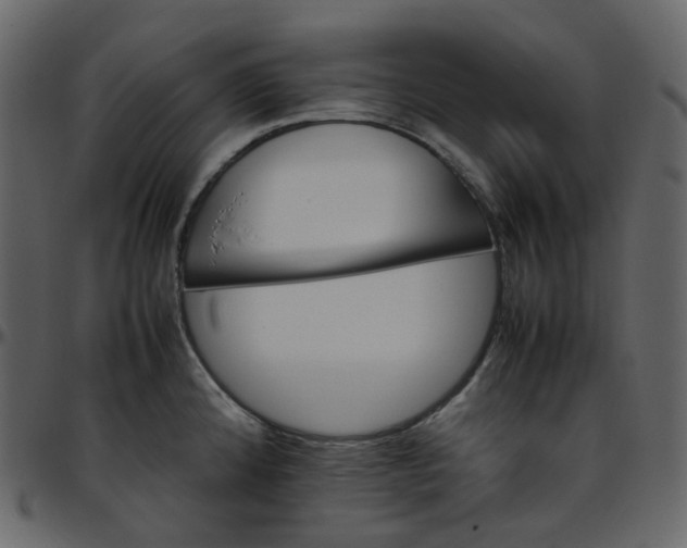 X0000095691192200801221241