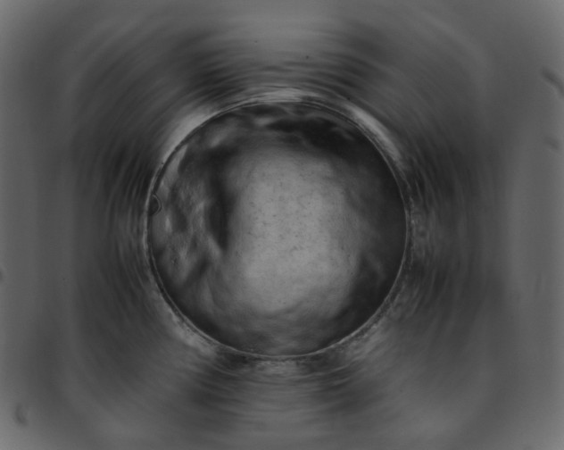 X0000095691194200801221241