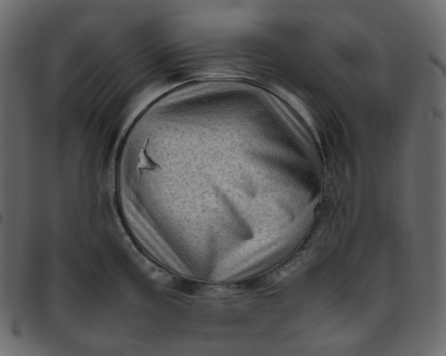 X0000095691195200801221241